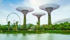 Blickfang in Singapur: die „Bäume“ in Gardens by the Bay